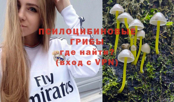 хмурый Пестово