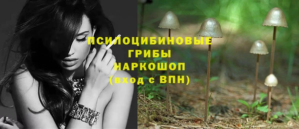 хмурый Пестово