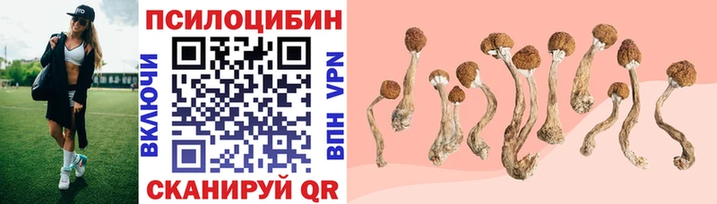 Псилоцибиновые грибы Magic Shrooms  Купить  Елизаветинская 